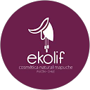 Belén Dami Huentecura Robles profile picture