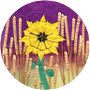 Paola Sanhueza profile picture